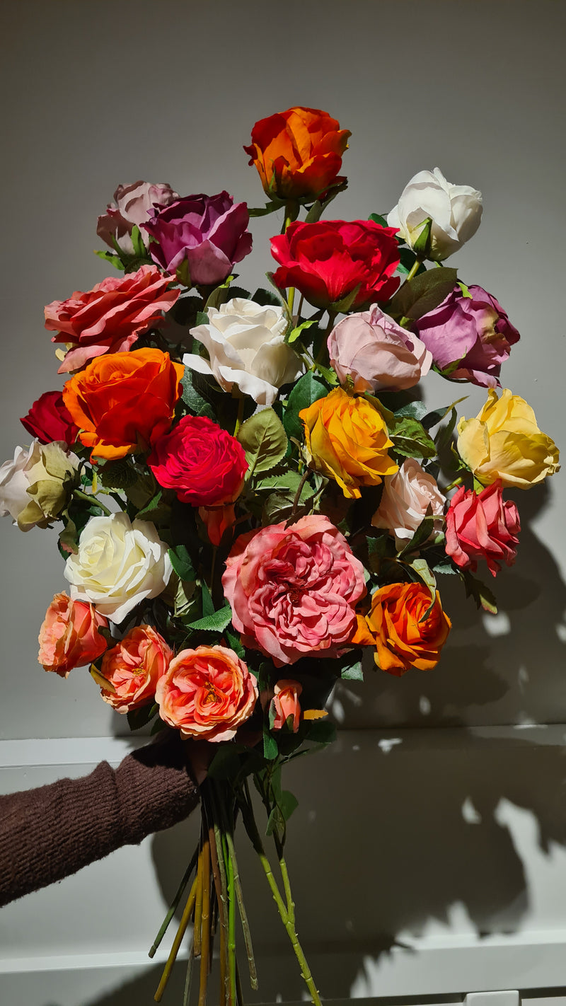 Rozen